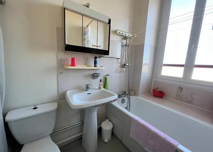 Lejlighed Lumineux A Cambo-les-bains, Proche Thermes, Coin Nuit, Kitchenette, Internet, Animaux Acceptes - Fr-1-495-10